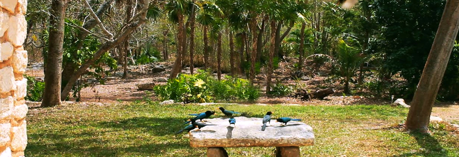 Ecoturismo en Yucatan